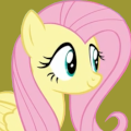 shy